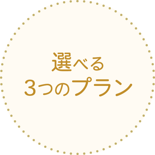 選べる3つのプラン